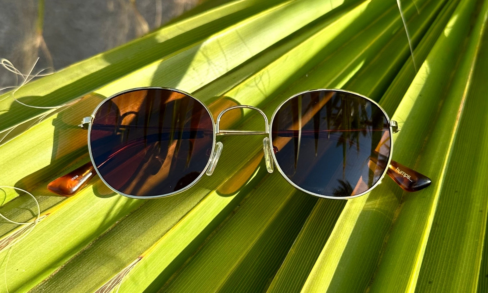 Polarized Sunglasses | El Dorado Gold | Gold Memory Metal Frame