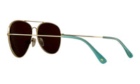 Bravo Charlie - Humps Optics